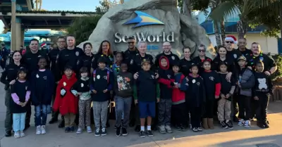 Compra con un Polica