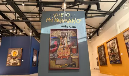 "El vuelo de mi hermano", exposicin en CEART Ensenada
