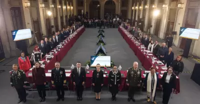 Consejo Nacional de Seguridad Pblica.