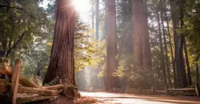 Parques estatales de California