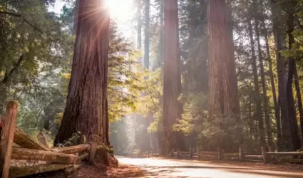 Parques estatales de California