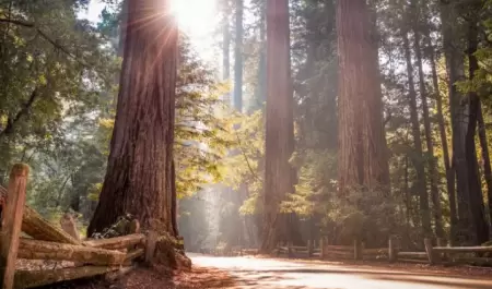 Parques estatales de California