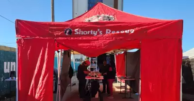 Jornada gratuita de esterilizaci�n de mascotas