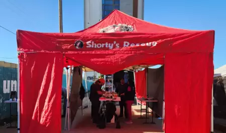 Jornada gratuita de esterilizaci�n de mascotas