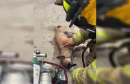 Incendio en vivienda moviliza a Bomberos de Tijuana; rescatan seis caninos