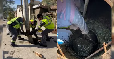 Precauciones ante pron�stico de lluvias