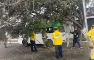 Lluvias en Tijuana dejan 74 servicios atendidos por Bomberos sin incidentes graves