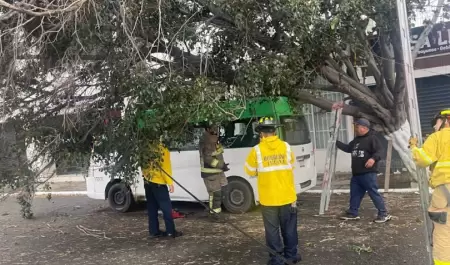 Lluvias en Tijuana dejan 74 servicios atendidos