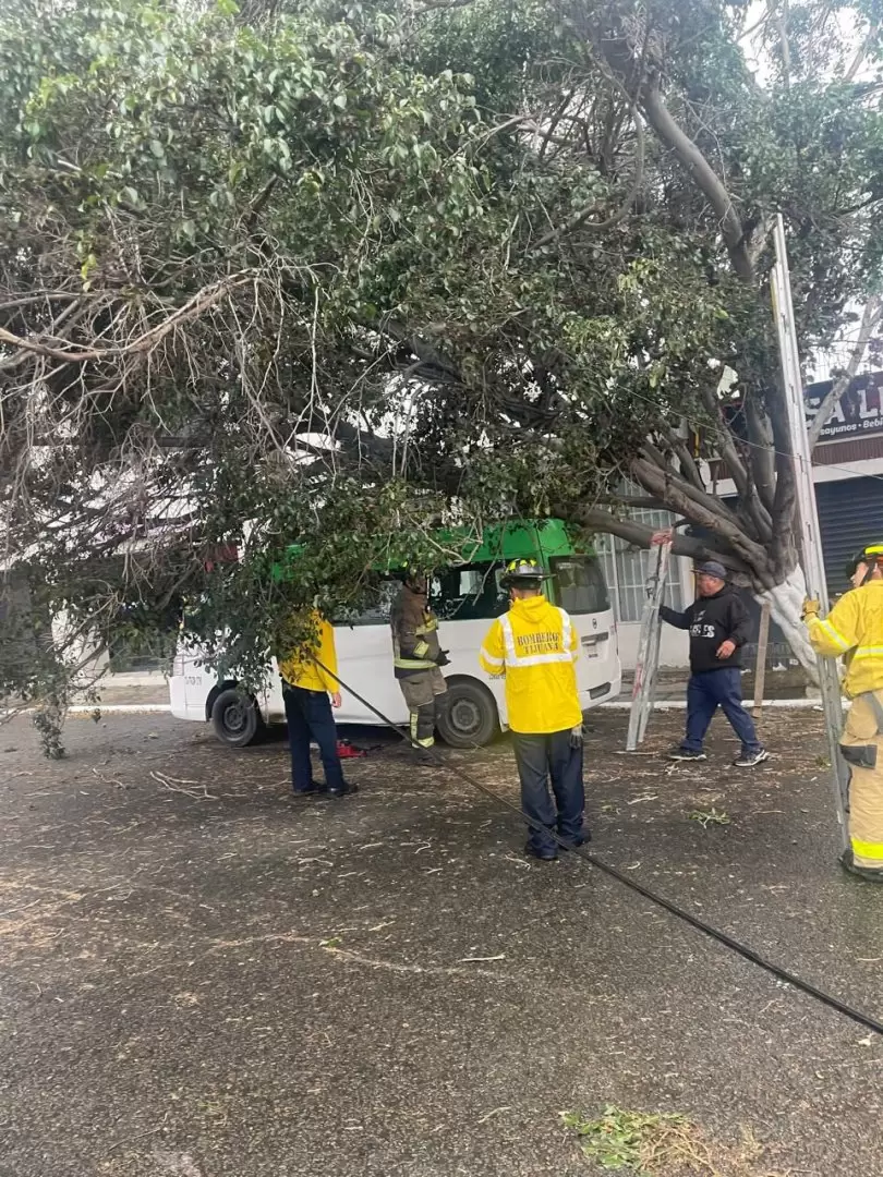 Lluvias en Tijuana dejan 74 servicios atendidos