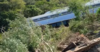 Descarrila tren trans�stmico