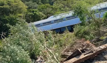 Descarrila tren trans�stmico
