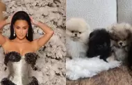 PETA critica a Kim Kardashian por regalar perros en Navidad