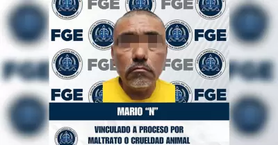 Vinculado a proceso por delito de crueldad animal