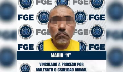 Vinculado a proceso por delito de crueldad animal