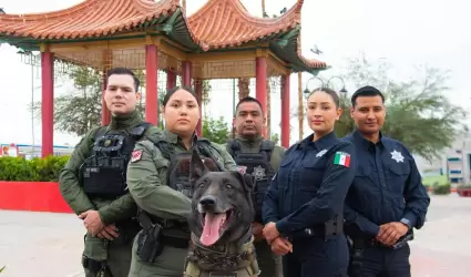 Elementos policiales