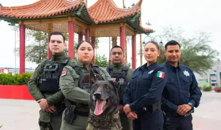 Elementos policiales