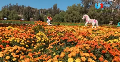 Artesanos del metal de Rosarito aportan su creatividad a nuevos espacios tur�sti