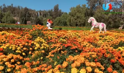 Artesanos del metal de Rosarito aportan su creatividad a nuevos espacios tur�sti