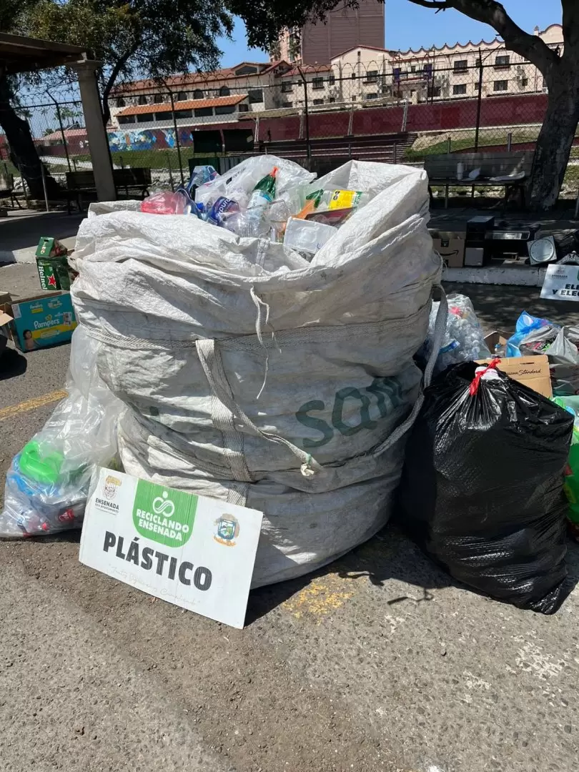 Logra Punto Verde m�s de 100 mil kilos recolectados