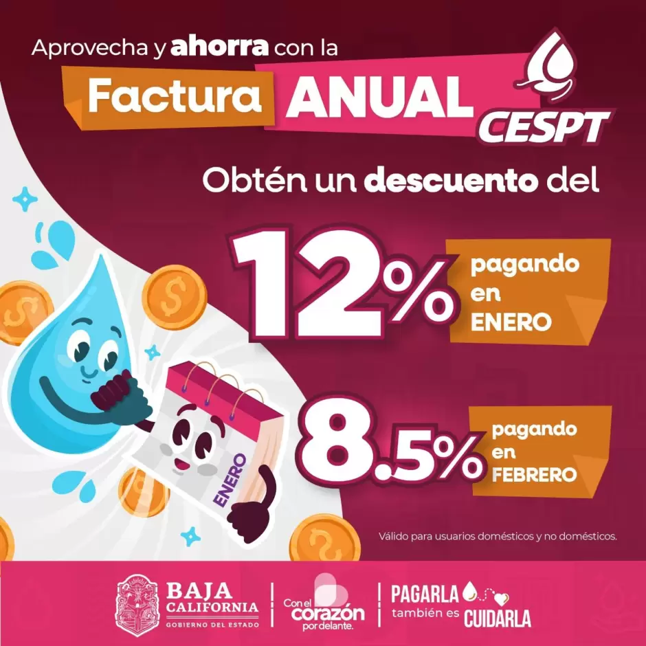 Programa de pago anual anticipado
