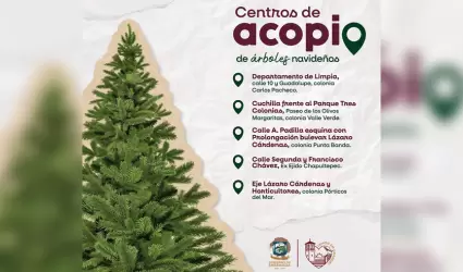 Acopio de �rboles navide�os