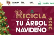 Habilita XXV Ayuntamiento de Tijuana centros de acopio de �rboles de Navidad en las nueve delegaciones municipales