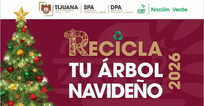 Centros de acopio de �rboles de Navidad