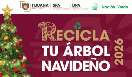 Centros de acopio de �rboles de Navidad