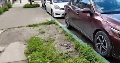 Empresa operadora de parqu�metros inici� pinta de calles aleda�as al Palacio Mun