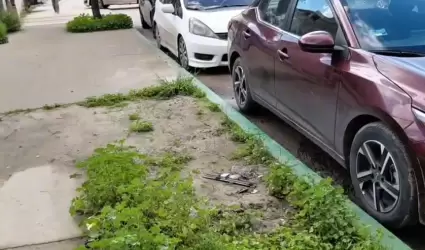 Empresa operadora de parqu�metros inici� pinta de calles aleda�as al Palacio Mun