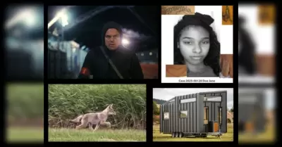 Noticias del condado