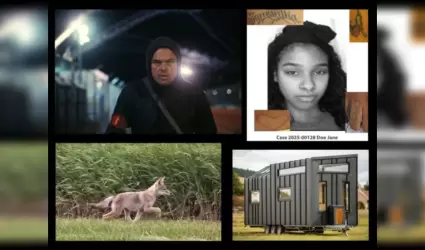 Noticias del condado