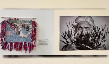 Exposiciones sobre identidad y memoria