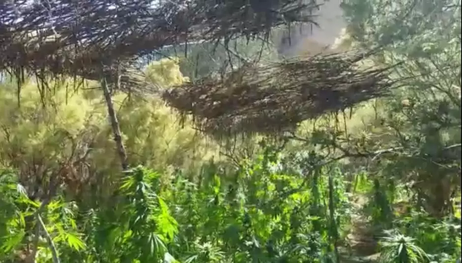 Cárteles en México