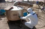 Destruyen laboratorios clandestinos en Durango, Sinaloa y Michoac�n