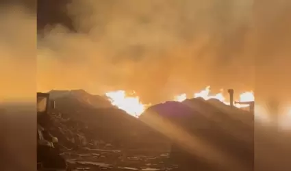 Incendio de aserr�n cerca de la planta Silza