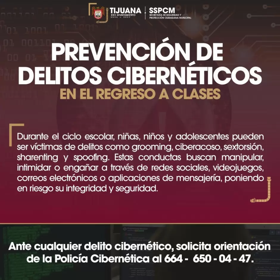 Delito cibern�tico