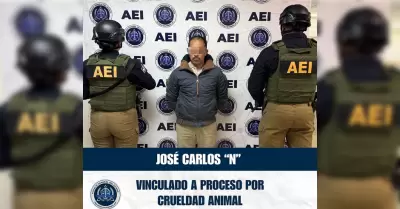 Detenido por el delito de crueldad animal