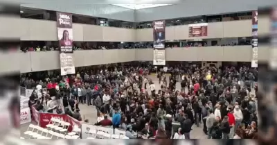 Ayuntamiento de Tijuana