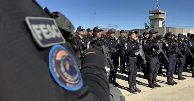 Elementos policiales polic�as