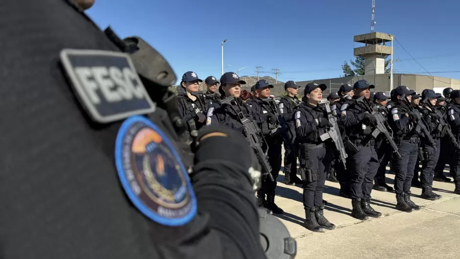 Elementos policiales polic�as