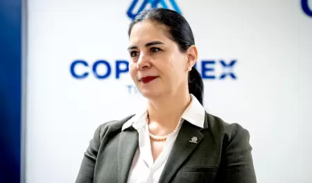 Presidenta de Coparmex Tijuana, Elisa Ib��ez Aldana