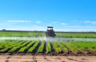 Cerr� la expedici�n de permisos del cultivo del trigo del OI 2025-2026 en el Valle de Mexicali: JARG