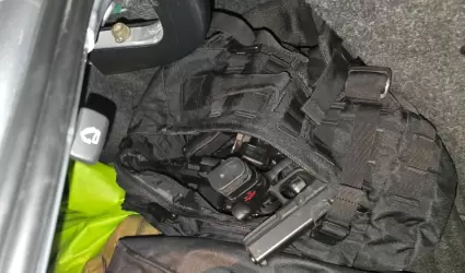 Fuerza Estatal asegura 114 armas en 15 d�as