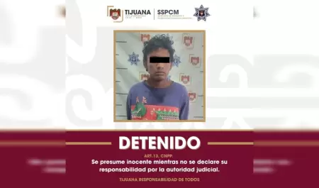 Detenido