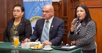 XV Conferencia Internacional de Miner�a