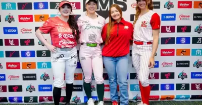 Liga Mexicana de Softbol