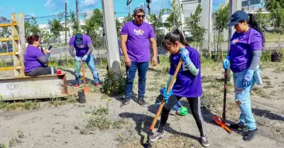 Restauraci�n ecol�gica