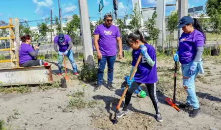 Restauraci�n ecol�gica