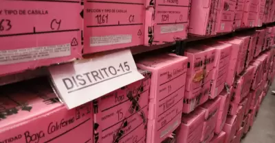 Exhibici�n p�blica de la documentaci�n electoral utilizada durante el PELE 2025